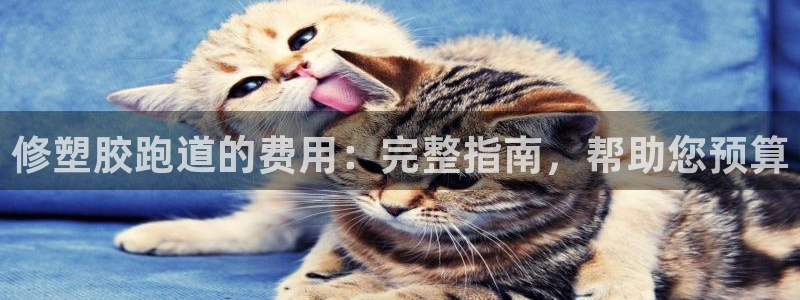 Ag尊龙平台：修塑胶跑道的费用：完整指南，帮助您预算