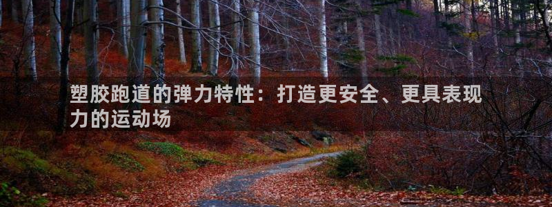 尊龙凯时最新平台登陆：塑胶跑道的弹力特性：打造更安全、更具表现
力的运动场