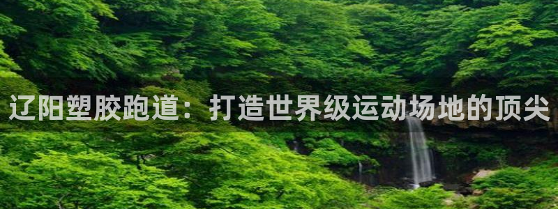 尊龙现在：辽阳塑胶跑道：打造世界级运动场地的顶尖