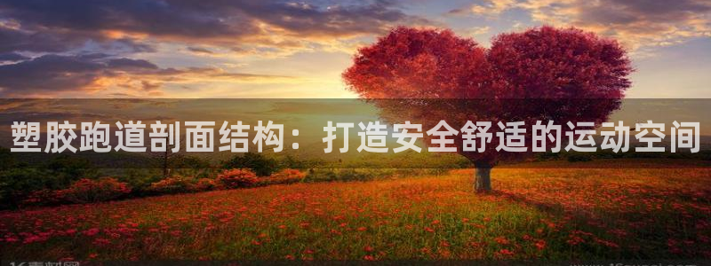 尊龙目前在哪：塑胶跑道剖面结构：打造安全舒适的运动空间