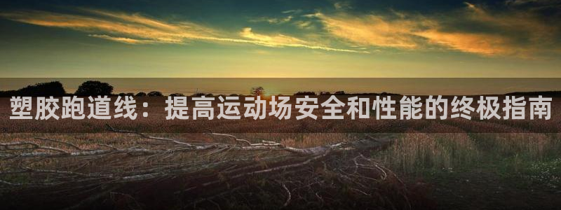 尊龙d88官网可靠送38元：塑胶跑道线：提高运动场安全和性能的终极指南