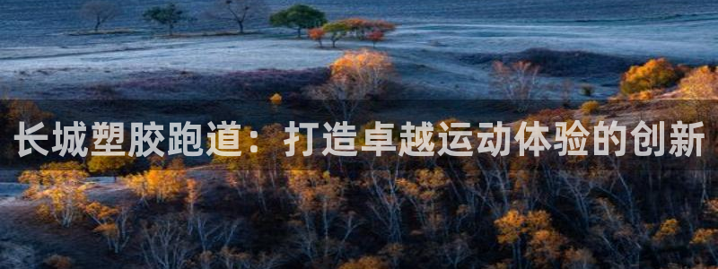 尊龙凯时app安装：长城塑胶跑道：打造卓越运动体验的创新