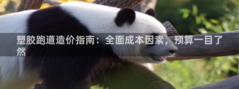 凯时k8官网首页：塑胶跑道造价指南：全面成本因素，预
