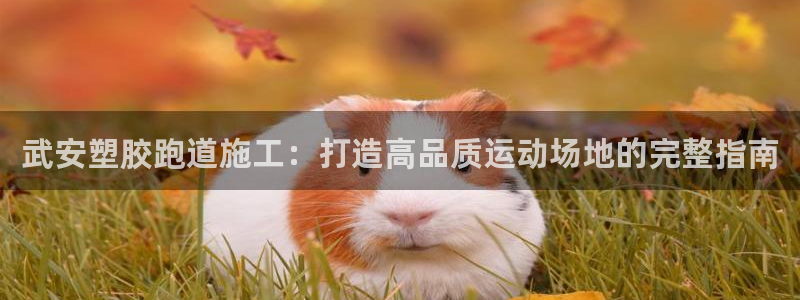 尊龙凯时提现不了：武安塑胶跑道施工：打造高品质运动场