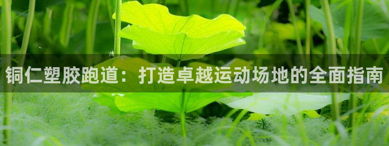 尊龙凯时是正规平台吗：铜仁塑胶跑道：打造卓越运动场地的全面指南