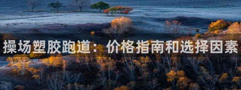 AG尊龙凯时注册：操场塑胶跑道：价格指南和选择因素