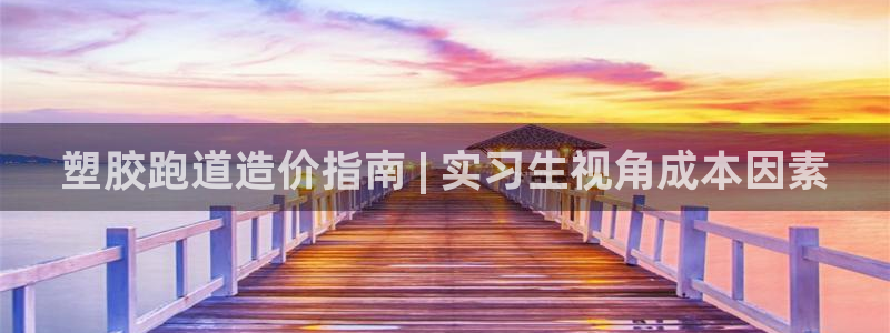 尊龙凯时干什么的：塑胶跑道造价指南 | 实习生视角成本因素