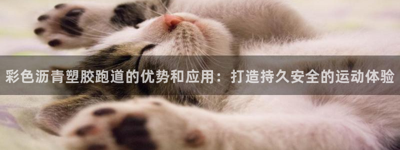 尊龙凯时官网登录入口：彩色沥青塑胶跑道的优势和应用：