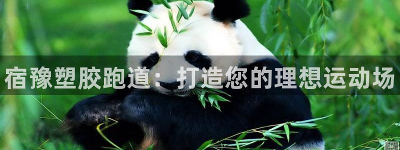 尊龙ag旗舰：宿豫塑胶跑道：打造您的理想运动场