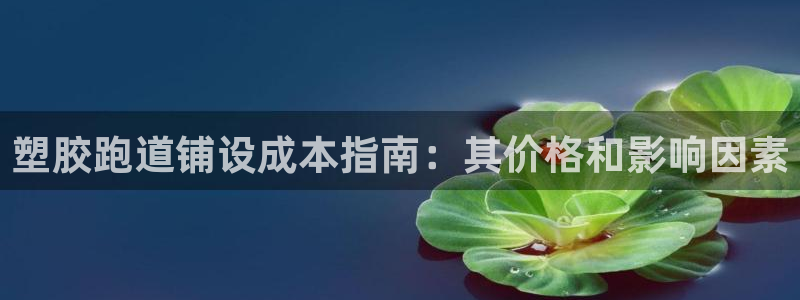 尊龙现金娱乐 下载：塑胶跑道铺设成本指南：其价格和影