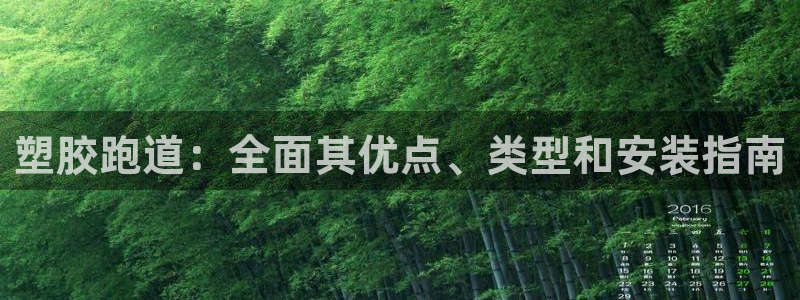 z6尊龙凯时集团：塑胶跑道：全面其优点、类型和安装指南