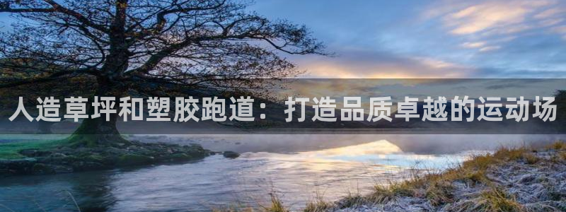 尊龙新版登录网址下载：人造草坪和塑胶跑道：打造品质卓越的运动场