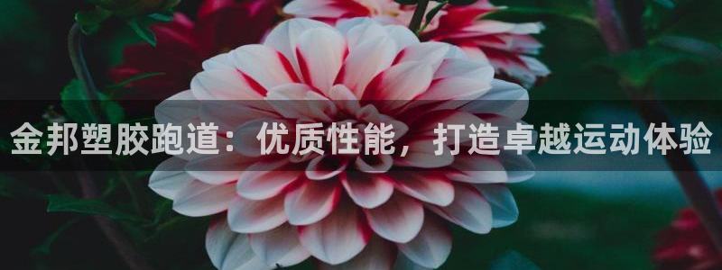尊龙现金推荐ag发财网：金邦塑胶跑道：优质性能，打造卓越运动体验