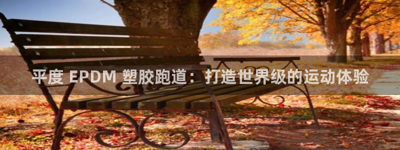尊龙凯时人生就是博·(中国)官网首页：平度 EPDM 塑胶跑道：打造世界级的运动体验