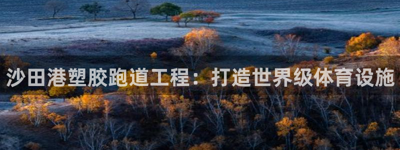z6尊龙凯时官方：沙田港塑胶跑道工程：打造世界级体育