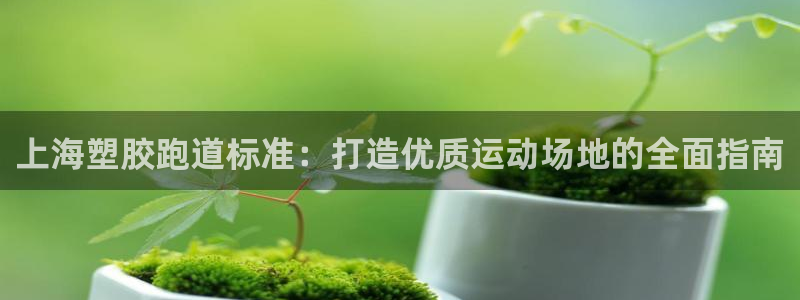 尊龙人生就是博用现金玩一下：上海塑胶跑道标准：打造优质运动场地的全面指南