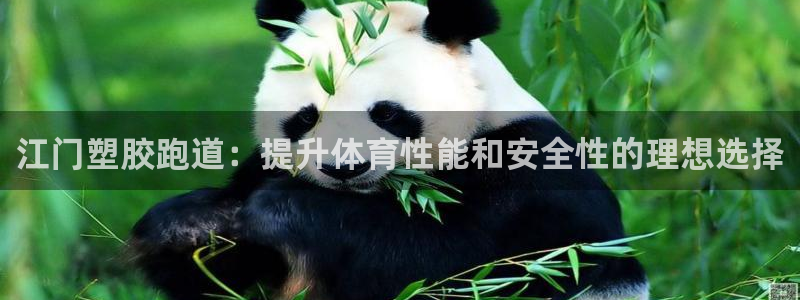 尊龙ag：江门塑胶跑道：提升体育性能和安全性的理想选择