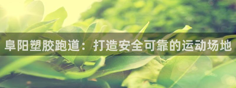 尊龙凯时品牌介绍：阜阳塑胶跑道：打造安全可靠的运动场