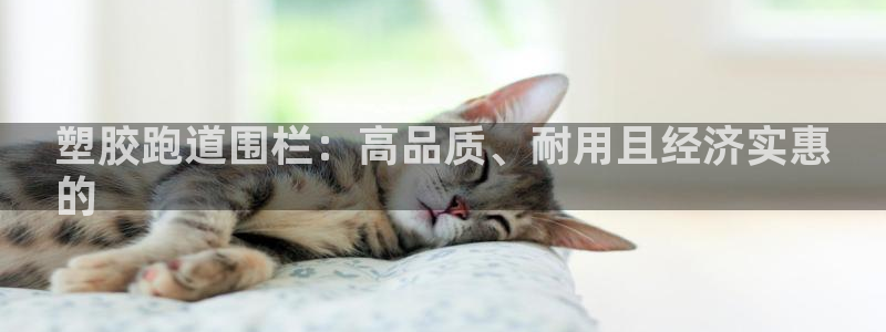 尊龙凯时品牌介绍：塑胶跑道围栏：高品质、耐用且经济实
