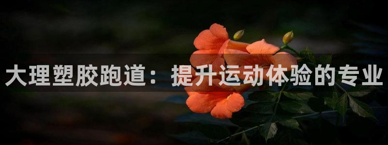 尊龙凯时网娱乐最新版下载：大理塑胶跑道：提升运动体验
