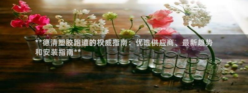 尊龙官网登录·(中国)官方网站-bd SPORTS：**德清塑胶跑道的权威指南：优选供应商、最新趋势
和安装指南**