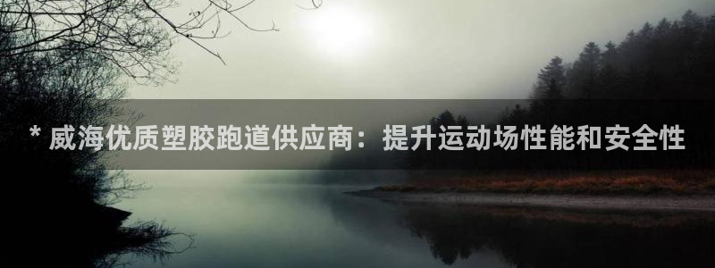 尊龙凯时有限公司：* 威海优质塑胶跑道供应商：提升运动场性能和安全性