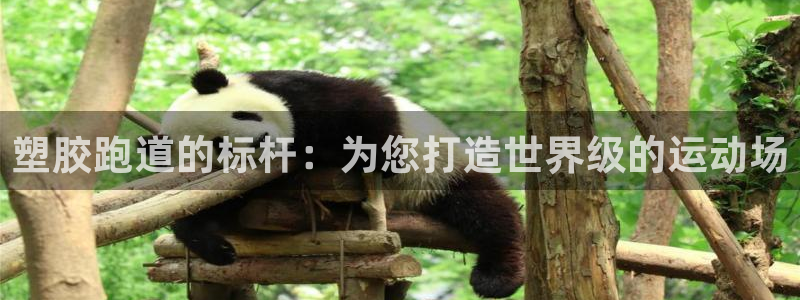 尊龙人生就是博AG旗舰厅：塑胶跑道的标杆：为您打造世界级的运动场