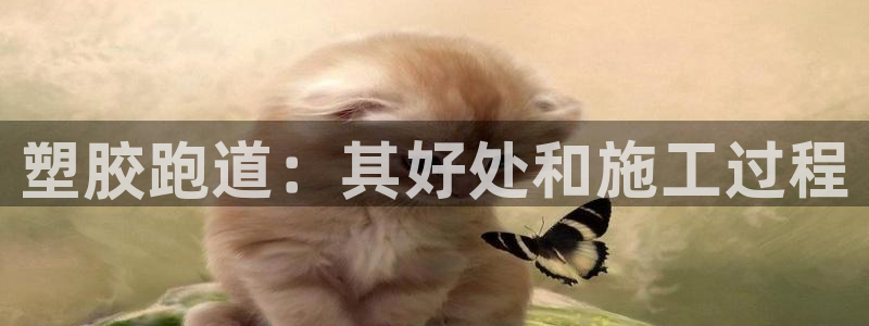 kb88凯时SO权威AG发财网：塑胶跑道：其好处和施工过程