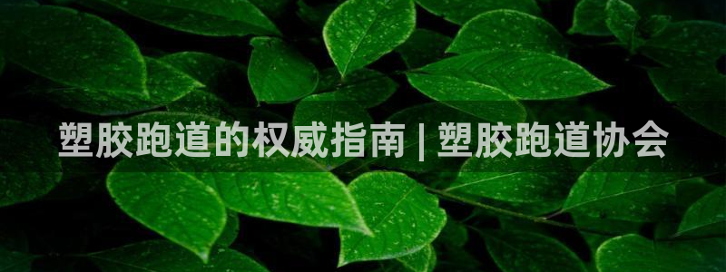 尊龙z6网址：塑胶跑道的权威指南 | 塑胶跑道协会