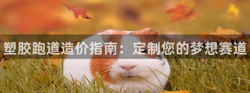 尊龙凯时城游戏官网：塑胶跑道造价指南：定制您的梦想赛