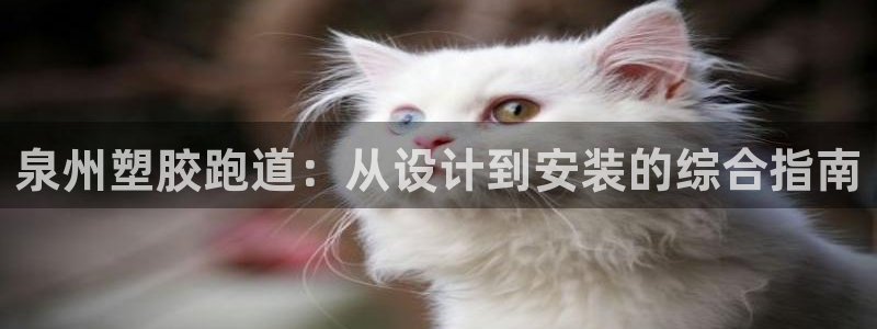 凯时官网手机版下载：泉州塑胶跑道：从设计到安装的综合指南