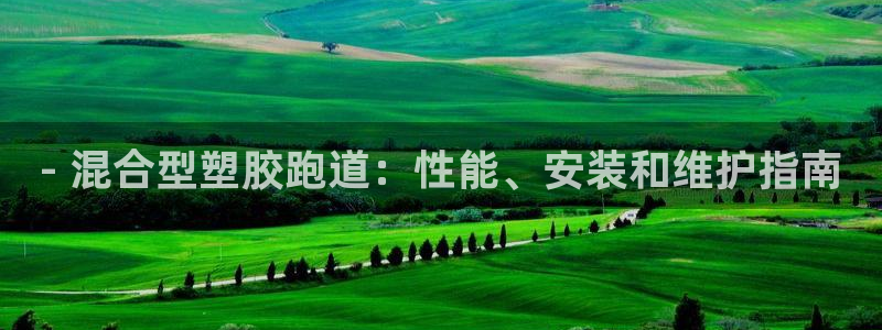 尊龙官网手机版：- 混合型塑胶跑道：性能、安装和维护指南