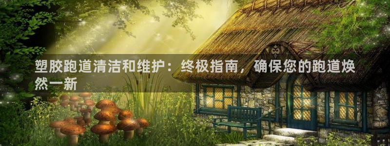 尊龙旗舰app：塑胶跑道清洁和维护：终极指南，确保您的跑道焕
然一新