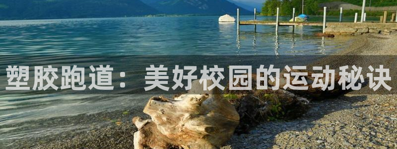 凯时kb88会员登录：塑胶跑道：美好校园的运动秘诀