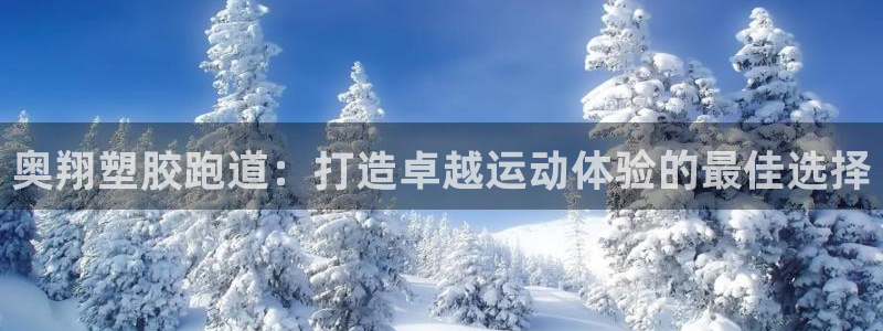 z6com尊龙凯时百家乐下载：奥翔塑胶跑道：打造卓越运动体验的最佳选择
