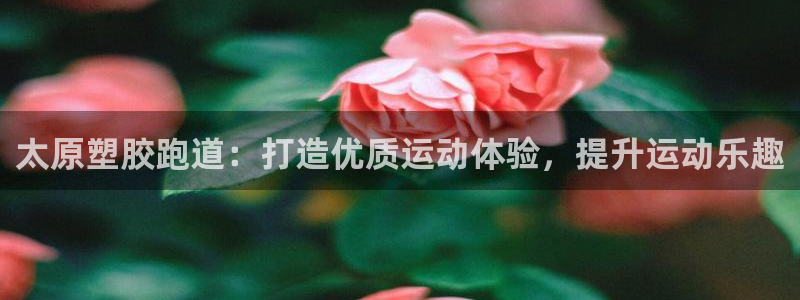 尊龙官网注册：太原塑胶跑道：打造优质运动体验，提升运动乐趣