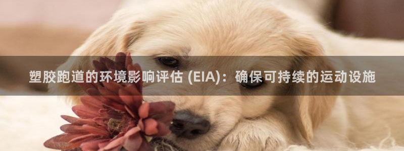 尊龙凯时是哪个国家的：塑胶跑道的环境影响评估 (EIA)：确保可持续的运动设施
