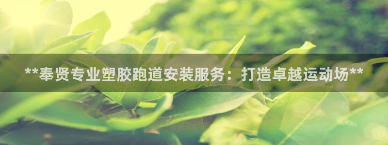 尊龙t600怎么样：**奉贤专业塑胶跑道安装服务：打造卓越运动场**
