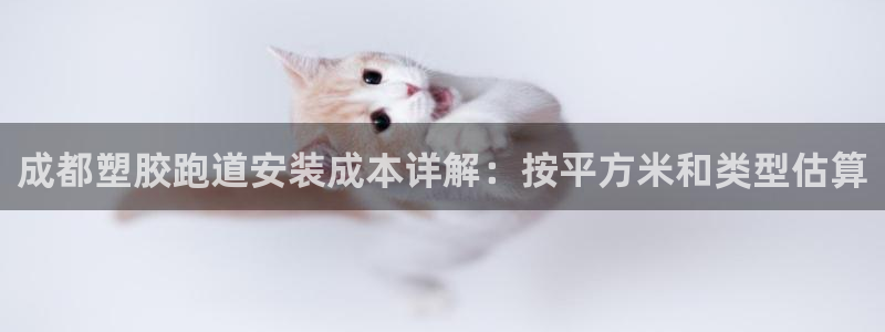 尊龙新版官网网页版：成都塑胶跑道安装成本详解：按平方