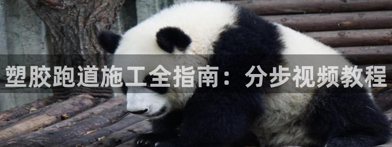 尊龙app|首选agdaohang：塑胶跑道施工全指南：分步视频教程