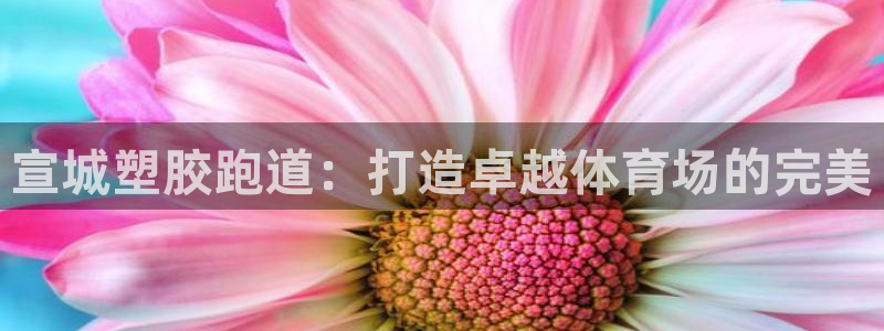 尊龙体育正规么：宣城塑胶跑道：打造卓越体育场的完美