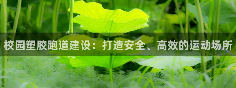 尊龙凯时网娱乐最新版下载：校园塑胶跑道建设：打造安全、高效的运动场所