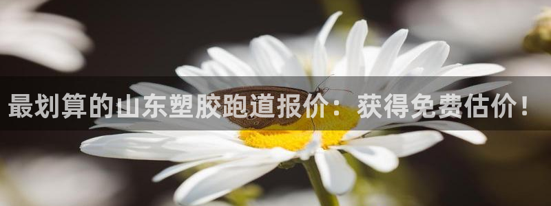 Z6尊龙凯时登录：最划算的山东塑胶跑道报价：获得免费估价！
