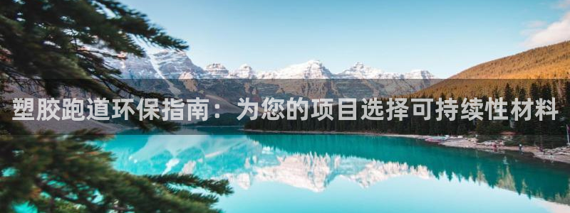 尊龙凯时可以提现吗：塑胶跑道环保指南：为您的项目选择可持续性材料