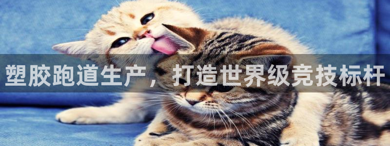 尊龙凯时取款24小时不到账：塑胶跑道生产，打造世界级竞技标杆