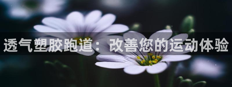 尊龙凯时推荐人：透气塑胶跑道：改善您的运动体验