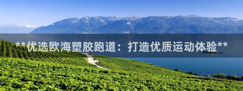 尊龙凯时的生产设备：**优选欧海塑胶跑道：打造优质运动体验**