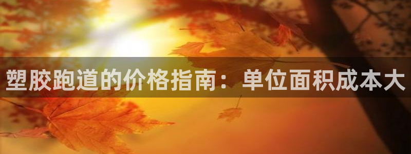 尊龙人生就是一博!：塑胶跑道的价格指南：单位面积成本大