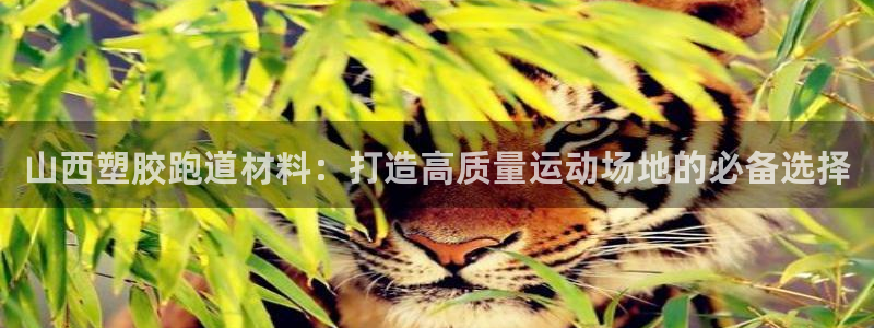 凯时旗舰厅App下载：山西塑胶跑道材料：打造高质量运动场地的必备选择