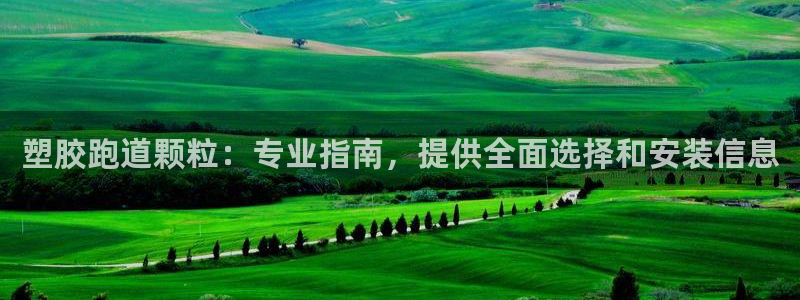 尊龙凯时登入首页：塑胶跑道颗粒：专业指南，提供全面选